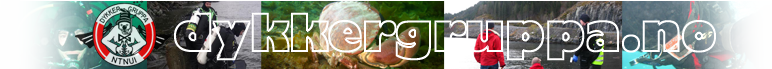 Fil:Dykkegruppa logo.png