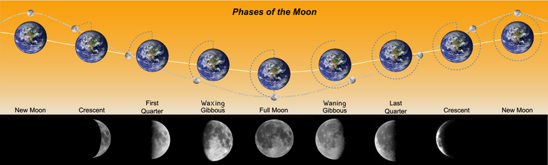 Fil:Phases of the Moon.png