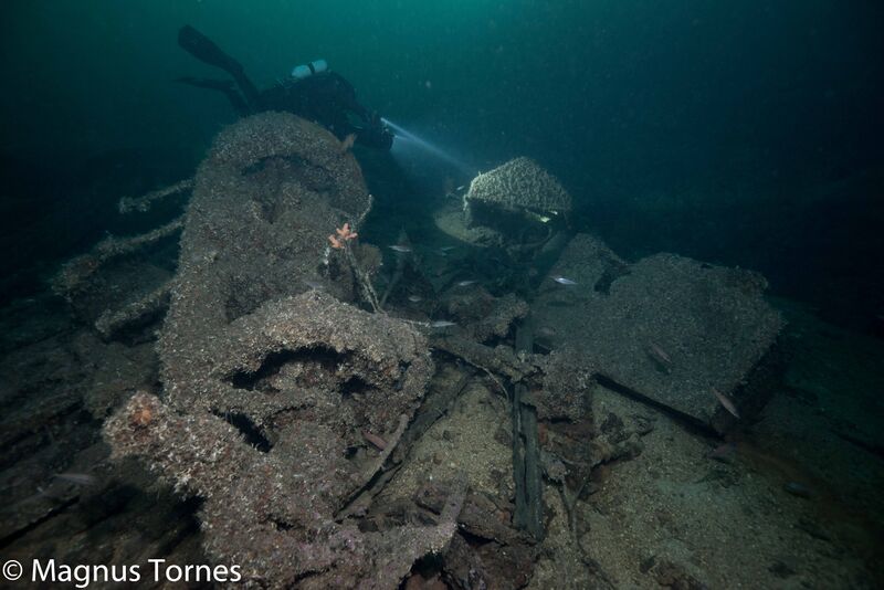 Fil:Skylight Vika.jpg