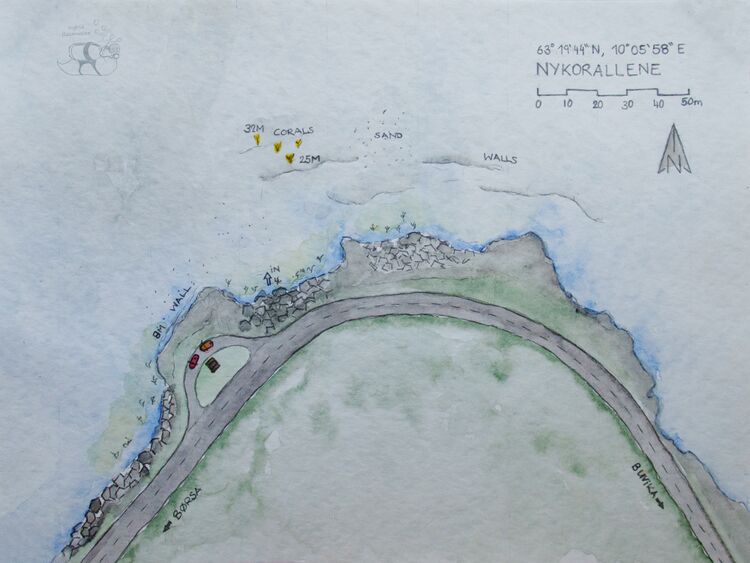 Map thedivingsloths nykorallene.jpg