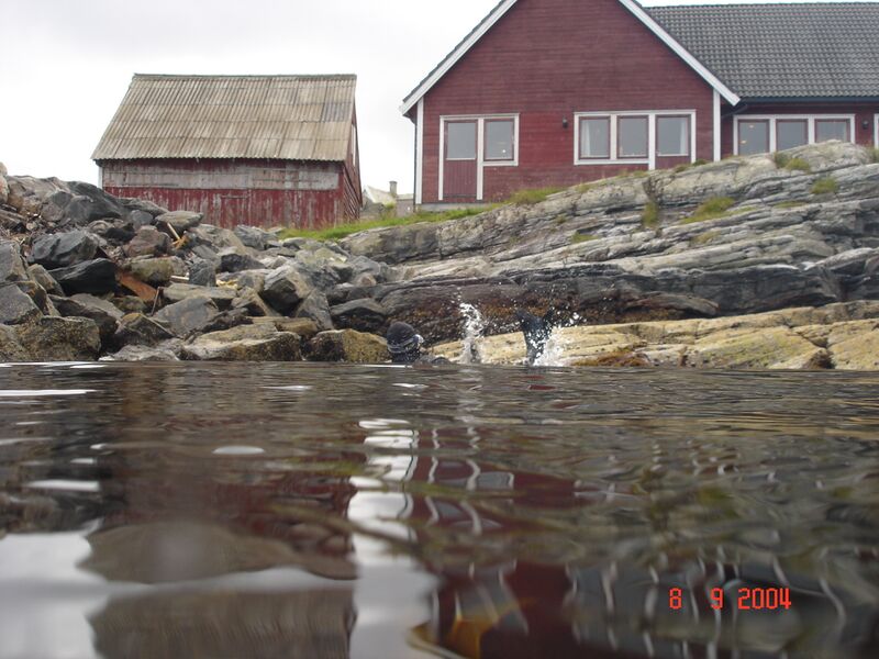 Fil:Dykking hellesøy 2004 001.jpg
